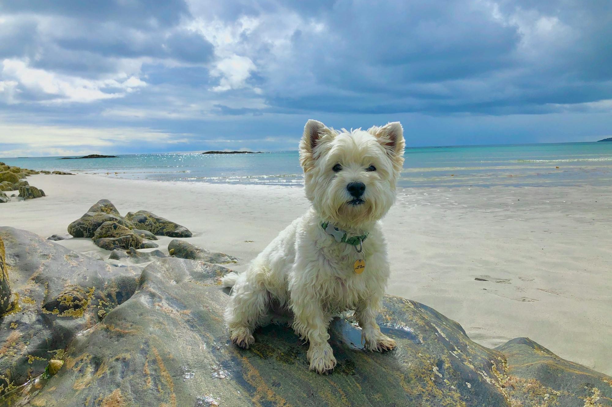 cairn edited